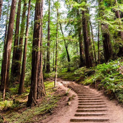 Hiking Trails