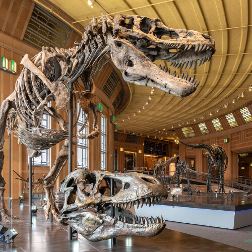 Museums